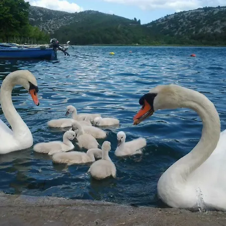 Apartman Hill * Skradin